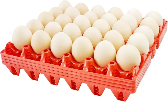 4-Pack Plastic Egg Tray Egg Crates 30-Egg Flats by George+Garden