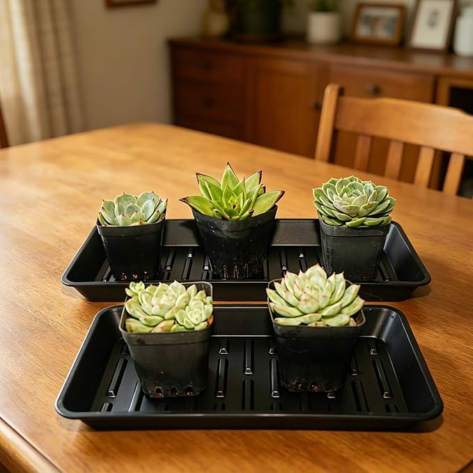 4 Pack Plastic Plant Tray Saucer Rectangular 17 18 Inch, Planter Trays Saucers - Image 6