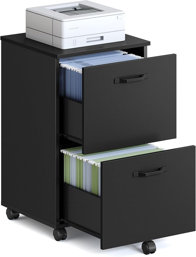 VASAGLE 2-Drawer File Cabinet, Small Rolling Filing Cabinet by VASAGLEbySONGMICSHOME