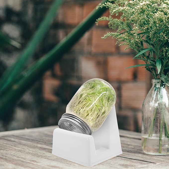 2pcs White Pp Sprouting Stand for Jars and Sprouts - Image 7