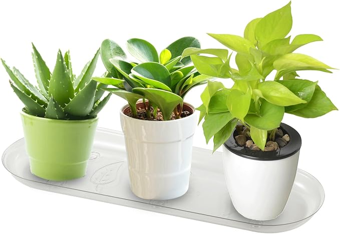 Idyllize Oval 5 Pieces of 14 by 4 5/8 Inches Clear Plastic Heavy Duty Plant - Image 5