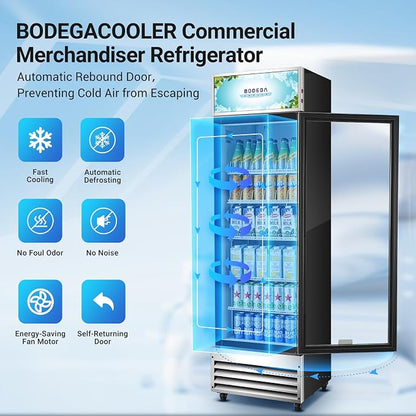 BODEGACOOLER Commercial Merchandiser Refrigerator, 12.5 Cu.Ft Glass Door - Image 5