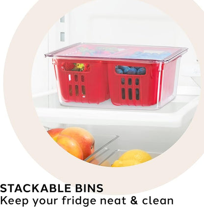 Oggi Berry Container for Fridge - Image 5