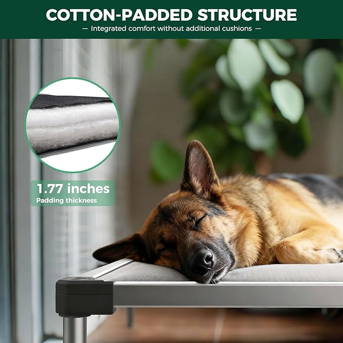 FXW TitanNest Chew-Proof Elevated Dog Bed, Raised Cot - Image 3