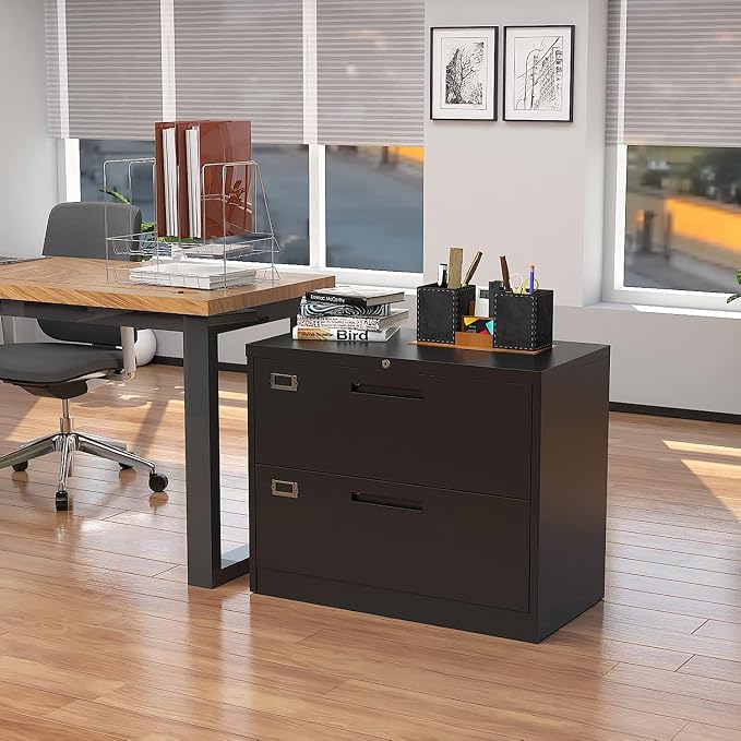 Lateral File Cabinet with Lock, 2 Drawer Large Metal Filing Cabinet, Home - Image 6