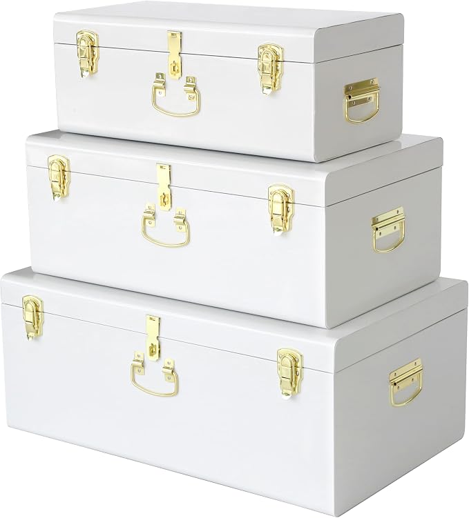 Vixdonos Decorative Box Set of 3 Metal Trunks Chest by Vixdonos