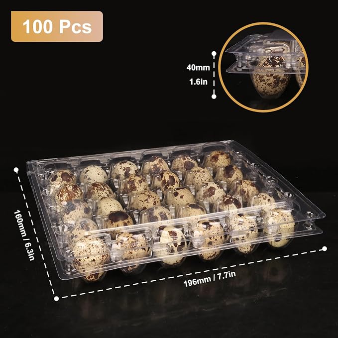 100 Pack Quail Egg Cartons, Holds up to 30 Quail Eggs Securely - Image 2