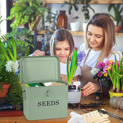 Seed Storage Organizer, T-Shape Compartment Seed Box - Image 3