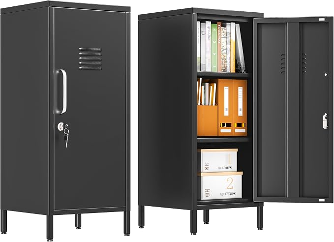 pozdeg 35.43" Metal Storage Locker by pozdeg
