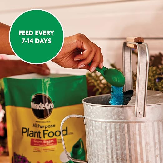Miracle-Gro Water Soluble All Purpose Plant Food, 5 lb. | Fertilizer - Image 10