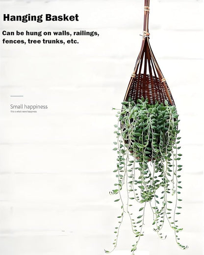 Hanging Orchid Planter: 4 Inch Handmade Bamboo Flower Basket -5Pcs | Wall Plant - Image 4