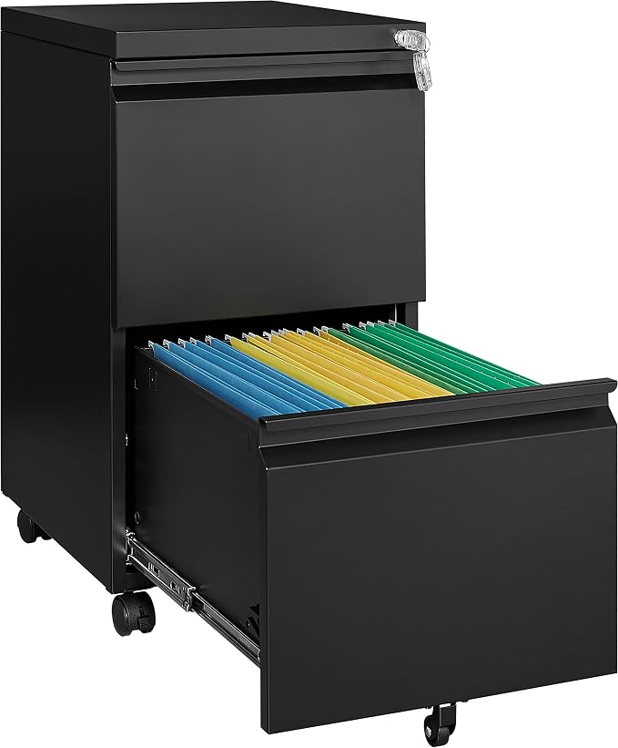 2 Drawer Vertical File Cabinet by Fesbos