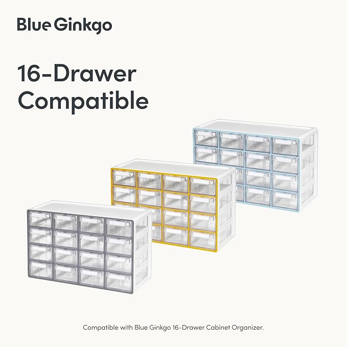 BLUE GINKGO 16 Dividers - Image 3