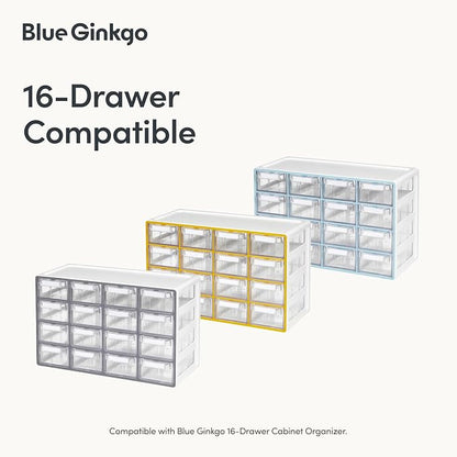 BLUE GINKGO 16 Dividers - Image 3