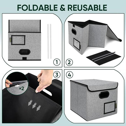 BALEINE File Organizer Box - Image 8