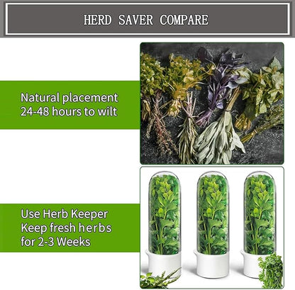Herb Saver, Herb Keeper for Refrigerator, Cilantro Container for Fridge - Image 6