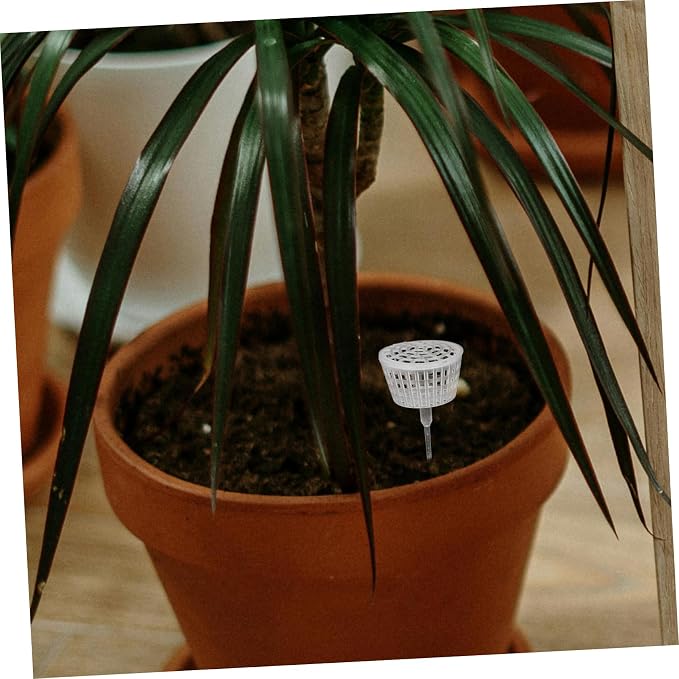 Milisten 10pcs Bonsai Fertilizer Box - Image 7