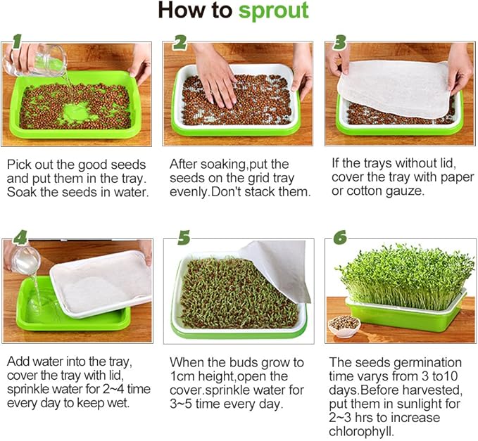 4 Layers Sprout Trays with Extra Strength Plastic Shelf Soil-Free Healthy - Image 7
