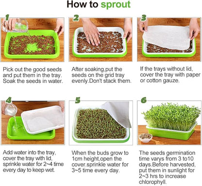 4 Layers Sprout Trays with Extra Strength Plastic Shelf Soil-Free Healthy - Image 7