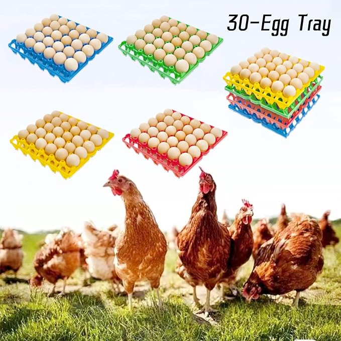 4-Pack Blue Rectangular Plastic Egg Tray, Stackable Egg Crates, 30-Egg Capacity - Image 5