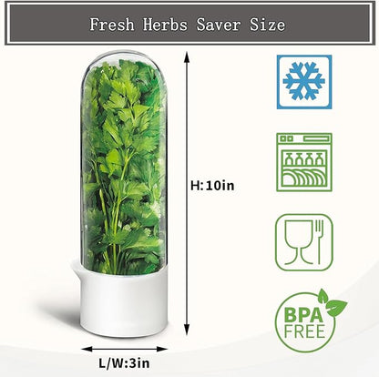 Herb Saver, Herb Keeper for Refrigerator, Cilantro Container for Fridge - Image 2