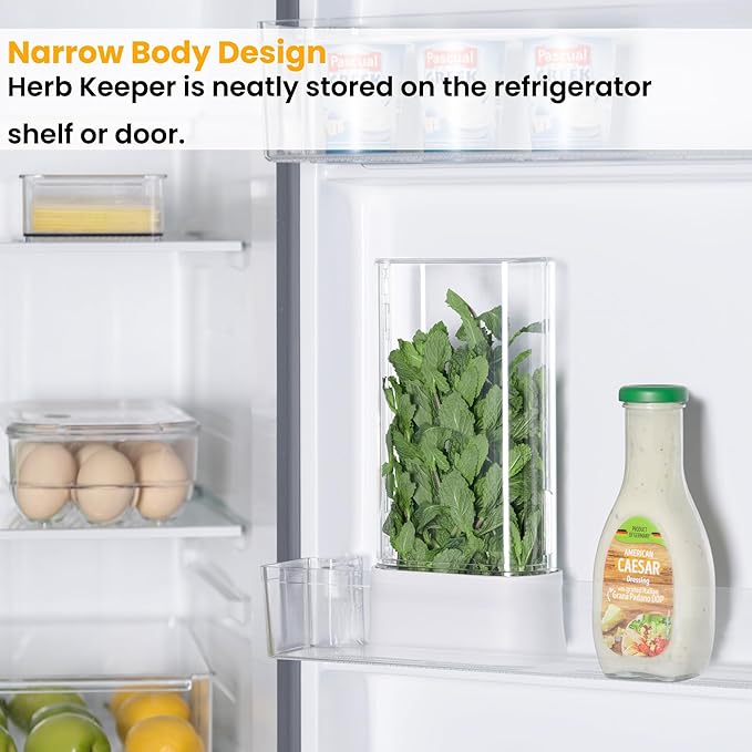 vacane Herb Keeper for Refrigerator, Fresh Herb Saver Herb Storage Containers - Image 2