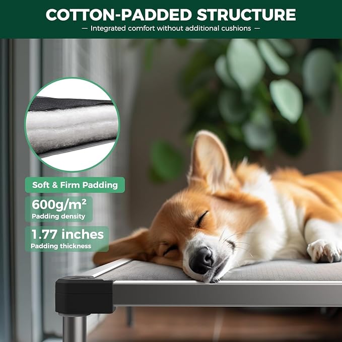 FXW TitanNest Chew-Proof Elevated Dog Bed, Raised Cot - Image 2