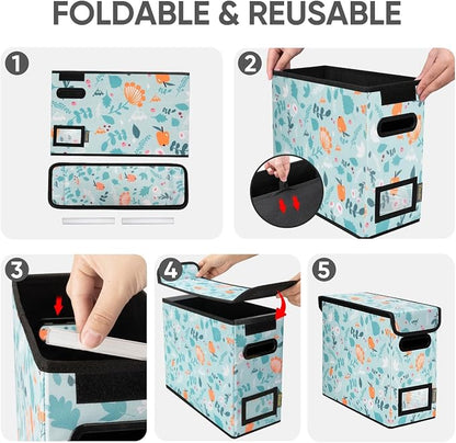 BALEINE File Organizer Box - Image 8