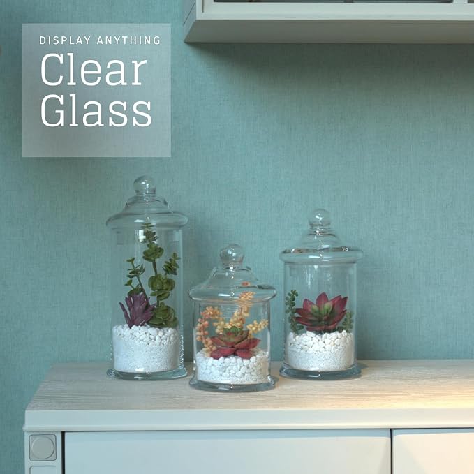Set of 3 Glass Apothecary Jars - Image 9