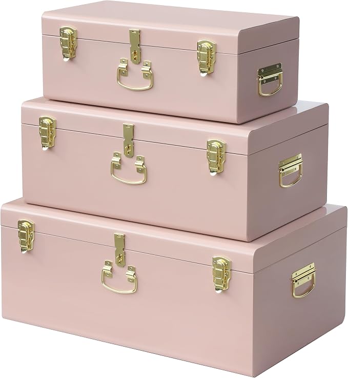 Vixdonos Decorative Box Set of 3 Metal Trunks Chest by Vixdonos