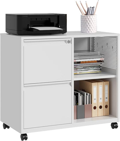 SISESOL 2 Drawer File Cabinet by SISESOL