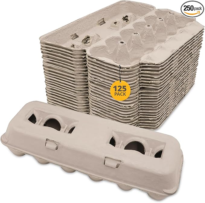 Stromberg's Large Blank Egg Cartons, Bulk Pack by Strombergs