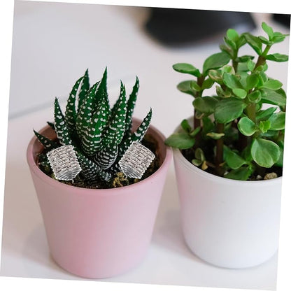 Toddmomy 6pcs Fertilizer Box Mini Fertilizer Planter Storage Succulent Baskets - Image 6