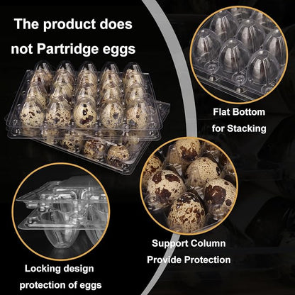 150 Pack Quail Egg Cartons, Holds up to 20 Quail Eggs Securely - Image 3