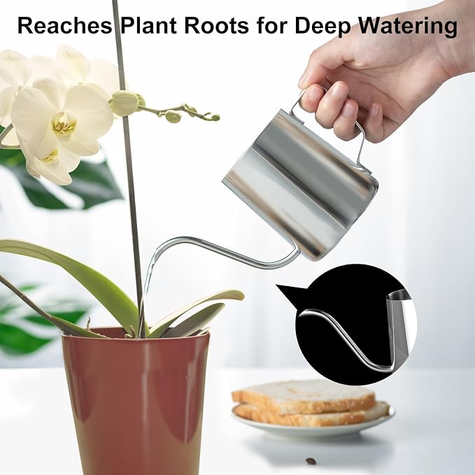 Small Watering Can for Indoor Plants, Mini Indoor Watering Can - Image 3
