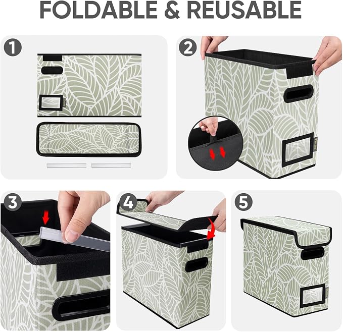 BALEINE File Organizer Box - Image 8
