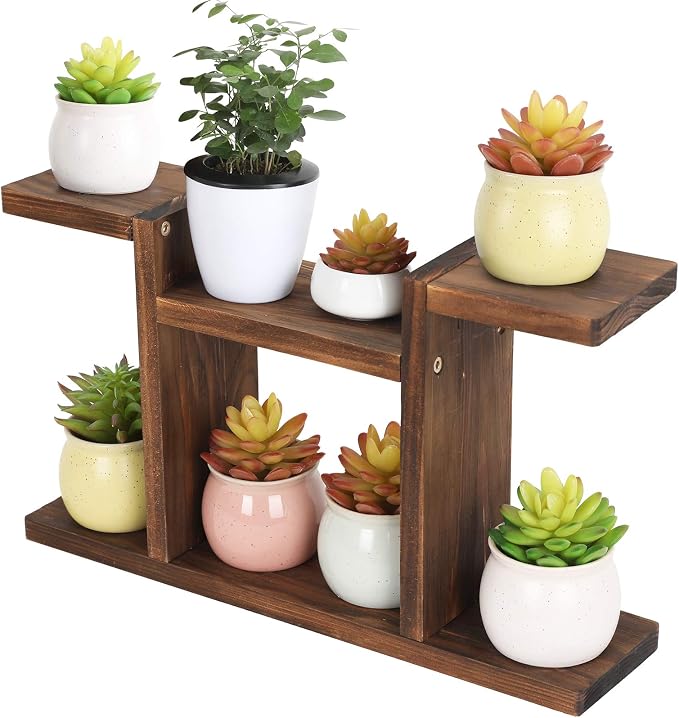 Wood Desktop Plant Stand Indoor by COOGOU