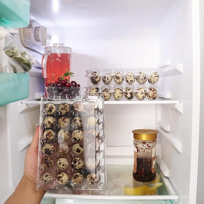 120 Pack Quail Egg Cartons - Image 6