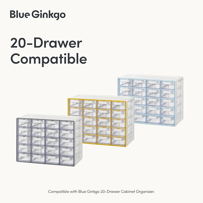 BLUE GINKGO 20 Dividers - Image 3