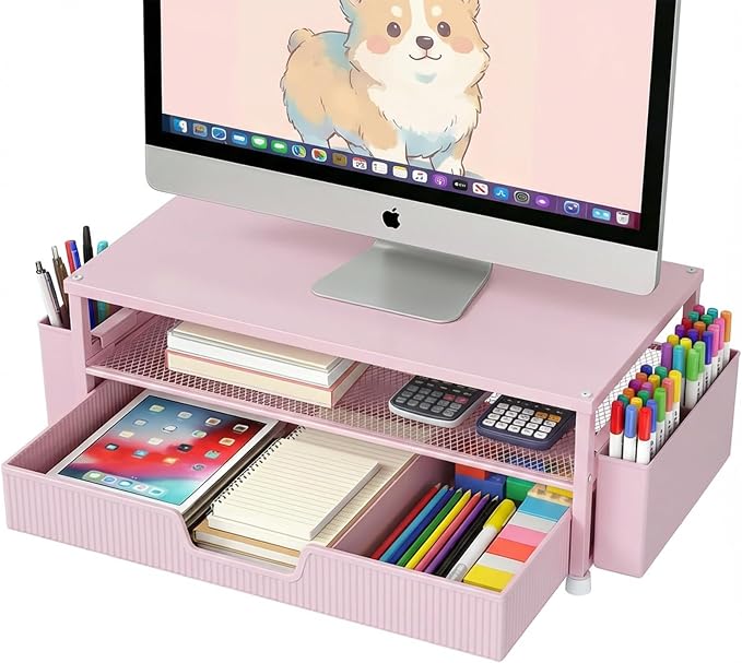ECOLOVI Desk Organizer and Accessories, 2-Tier Computer Monitor Stand Rise by ECOLOVI