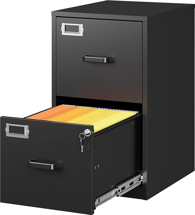 SISESOL 2 Drawer File Cabinet by SISESOL