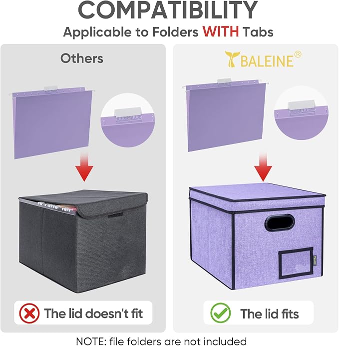 BALEINE File Organizer Box - Image 4
