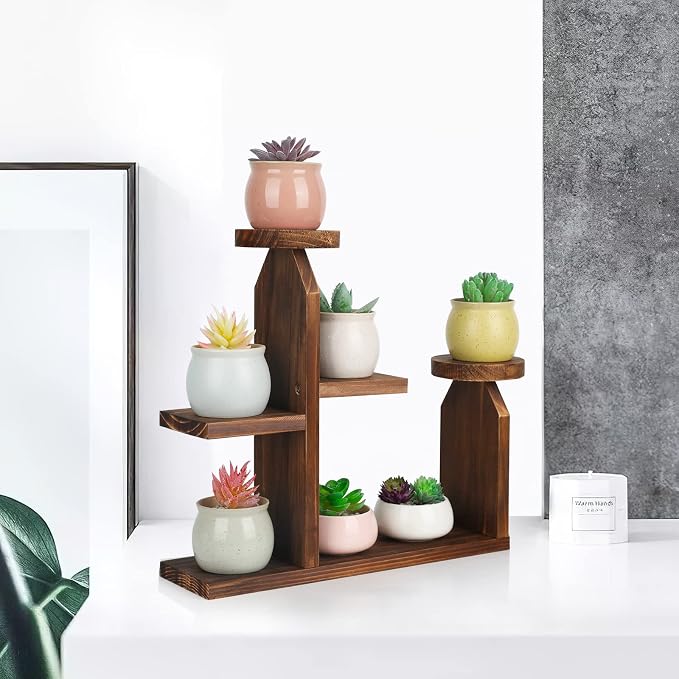 Wood Desktop Plant Stand - Image 6
