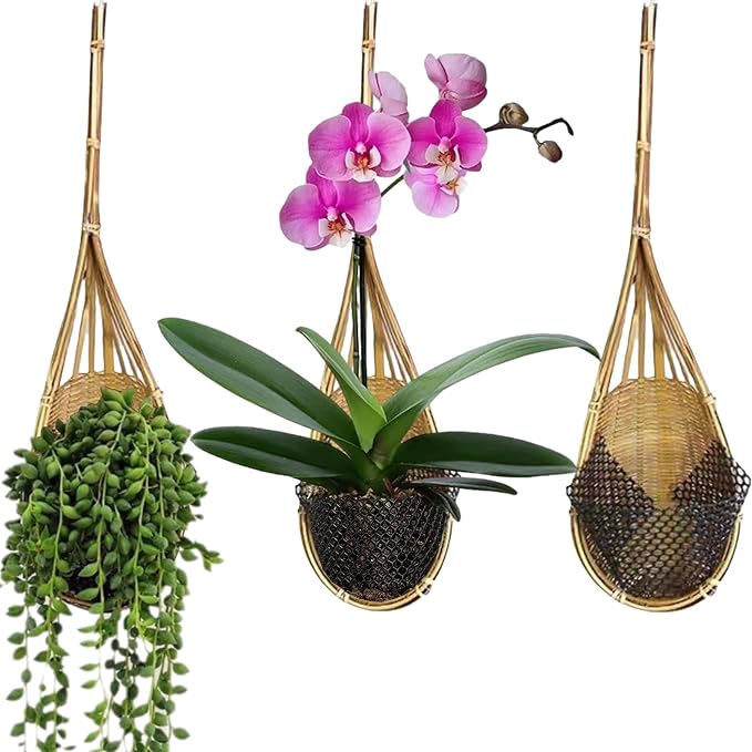 Hanging Orchids Pot: 4 Inch Handmade Bamboo Wall Plant Planter by Gogeffor