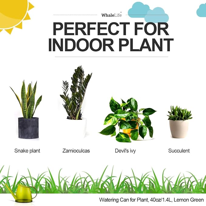 Small Indoor Watering Can for House Plants - Image 2