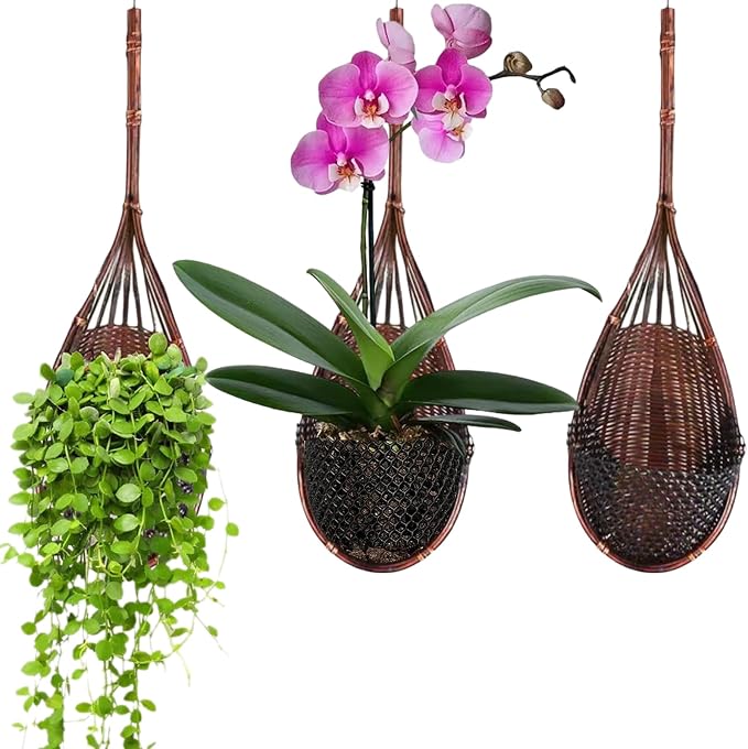 3 Pcs Hanging Orchid Planter: 4 Inch Handmade Bamboo Wall Plant Pot by Gogeffor