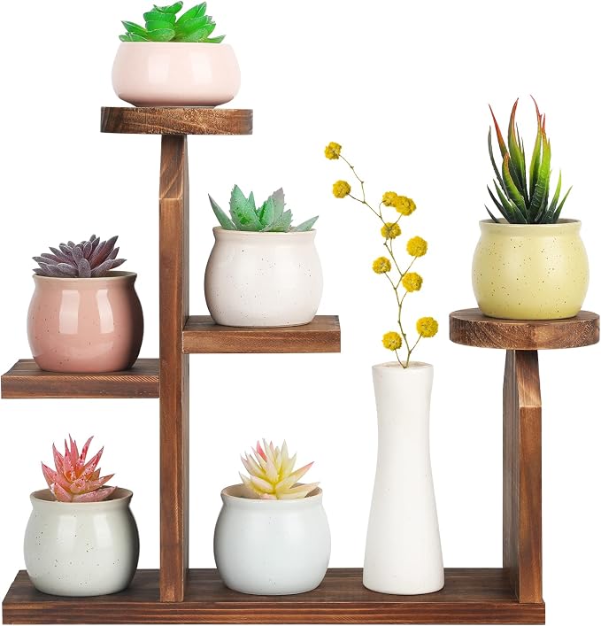 Wood Desktop Plant Stand by COOGOU