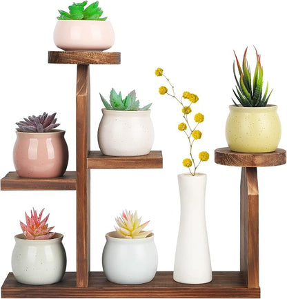Wood Desktop Plant Stand by COOGOU