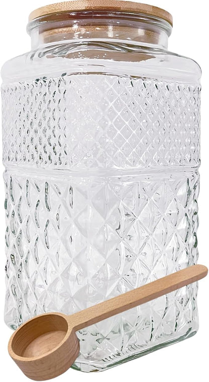 Viovian 1 Gallon Glass Jar by Viovian