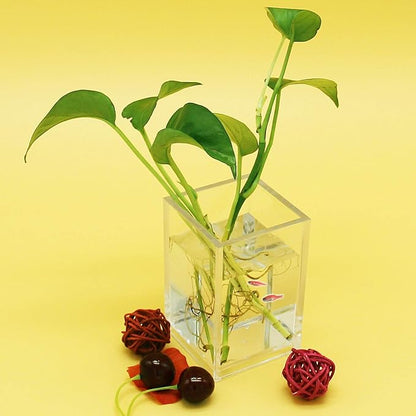 2 Pack Clear Acrylic Pencil Pen Holder Cup, Desk Accessories Holder, Makeup - Image 6